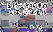 开云体育APP下载-尼斯队员奋力拼搏，击败对手获得胜利