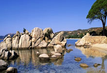 开云体育官网-澳网轻取ATP总决赛，德约科维奇惊艳四座