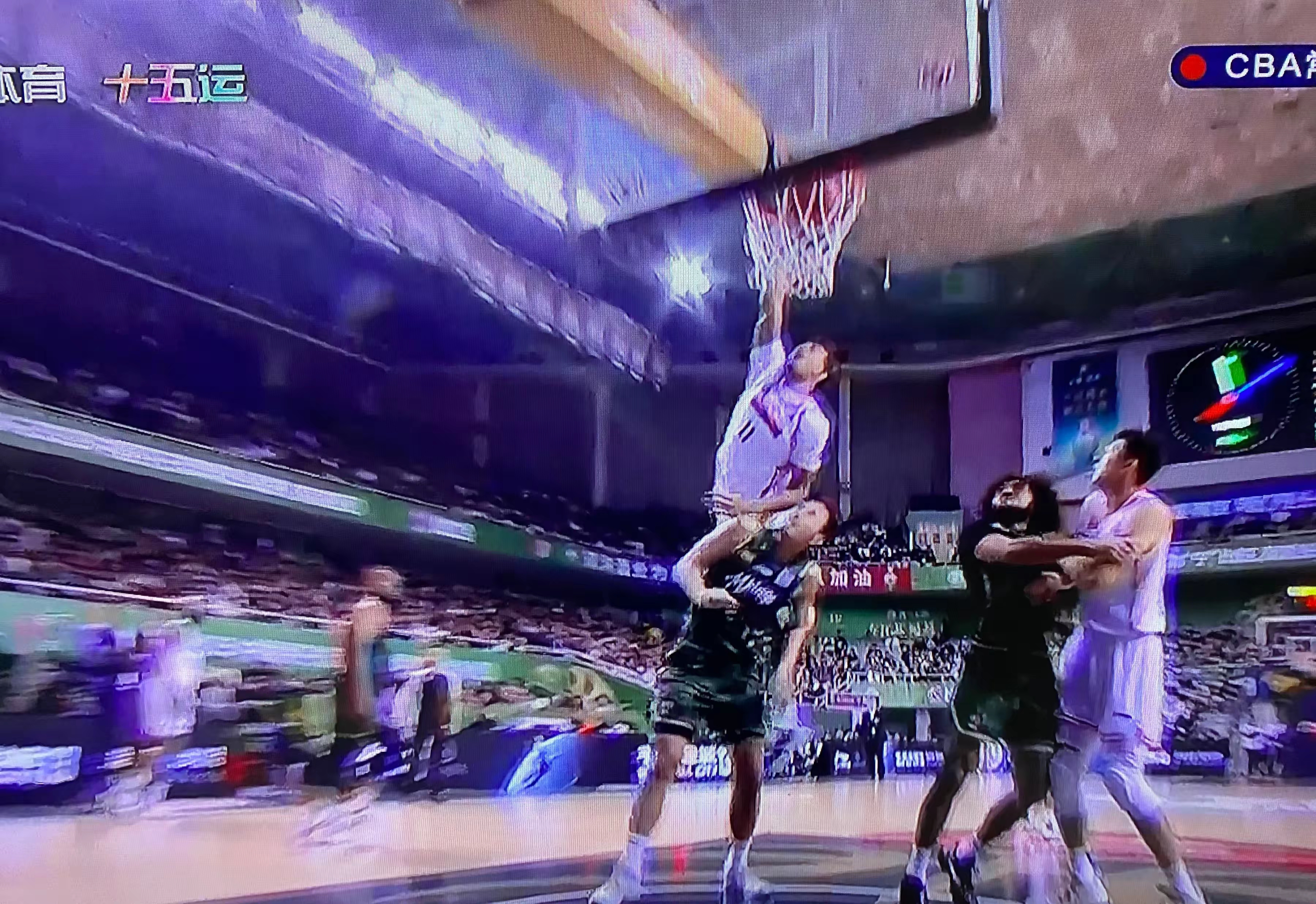 竞技场上抢眼表现,观众见证传奇的简单介绍 竞技场上抢眼表现,观众见证传奇的简单介绍