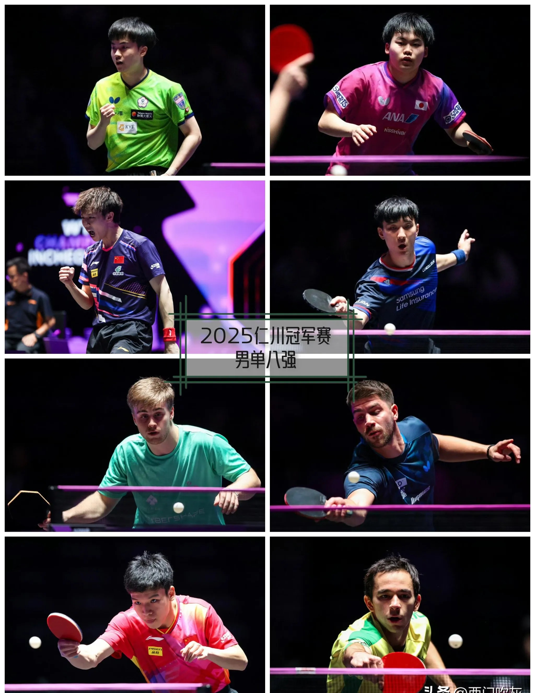 韩国乒乓球队完胜波兰乒乓球队，波尔制霸全场的简单介绍