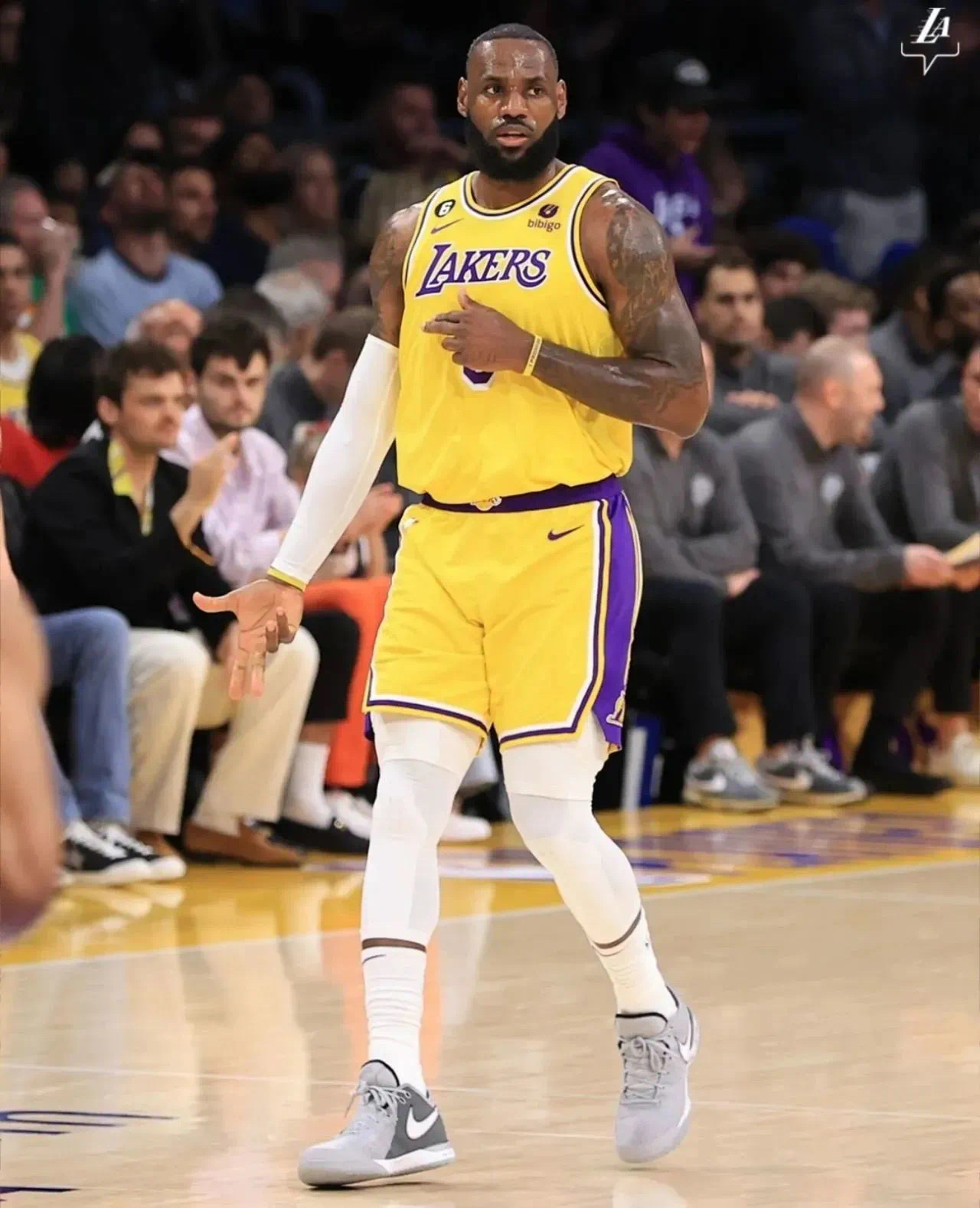 包含掘金横扫福建队,西亚卡姆统治全场的词条 包含掘金横扫福建队,西亚卡姆统治全场的词条