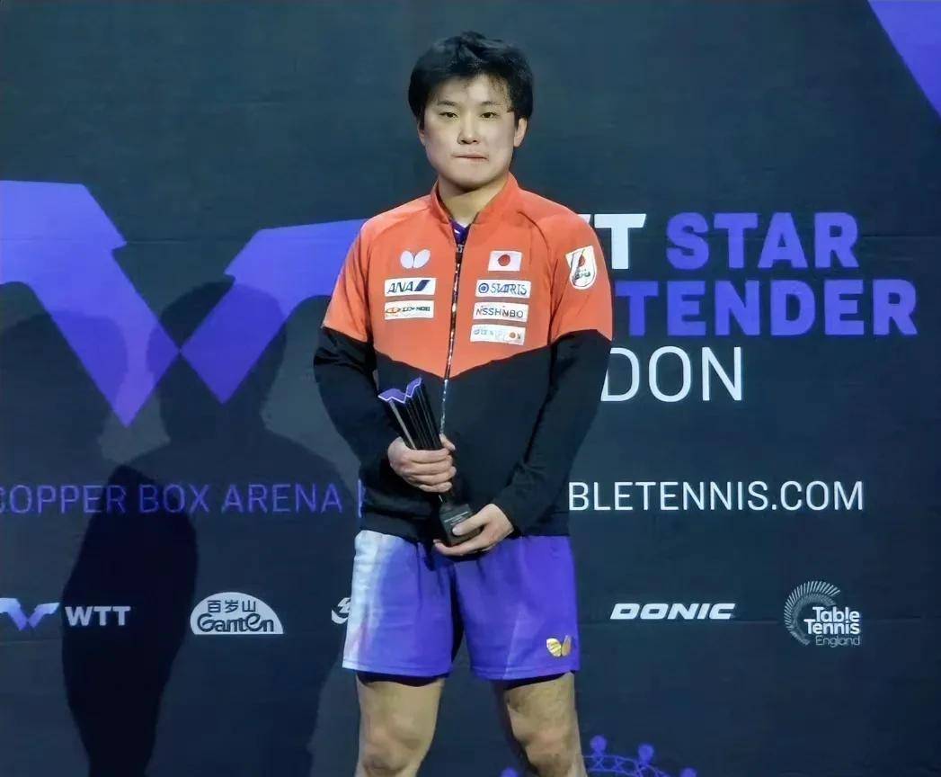 关于奥地利队绝杀波兰队,张本智和关键制胜的信息 关于奥地利队绝杀波兰队,张本智和关键制胜的信息