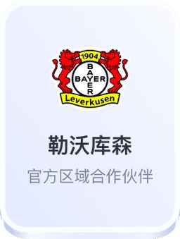 勒沃库森官方区域合作伙伴 - 开云体育