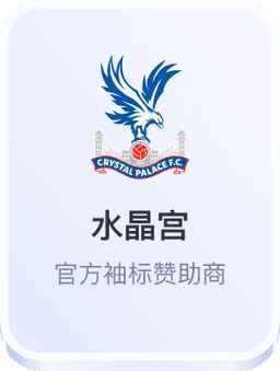 水晶宫官方袖标赞助商 - 开云体育